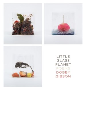 cover image of Little Glass Planet